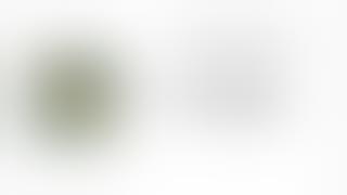 The Stone Roses - I Am the Resurrection (Lyric Audio)