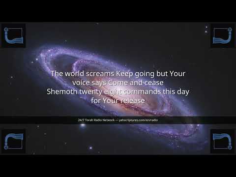 Shabbat Embrace