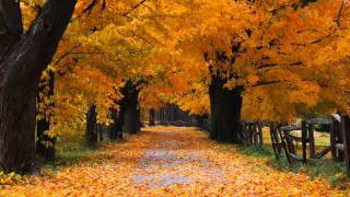 Antonio Vivaldi - Autumn