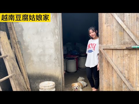 越南泡妞者去賣豆腐阿團姑娘家玩，沒想到她家那麼大。