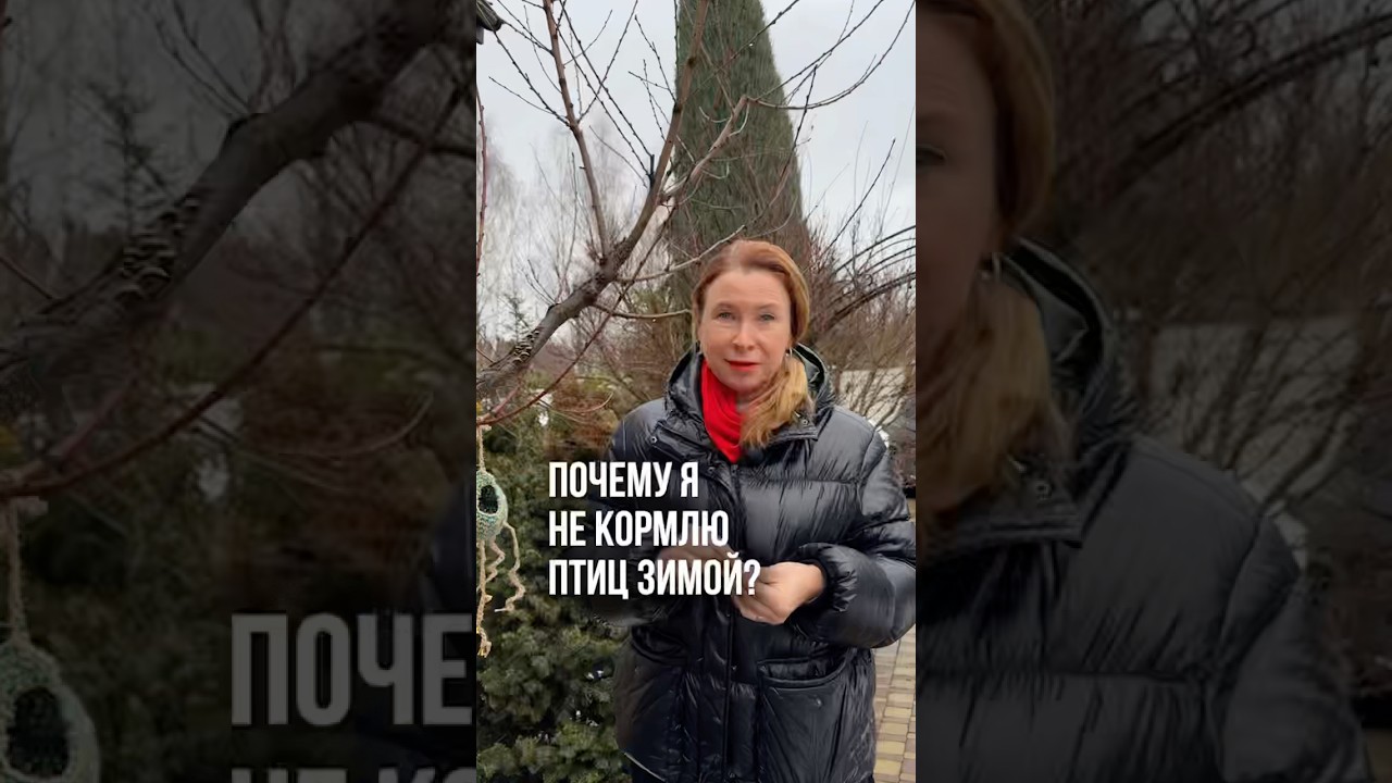 Почему я не кормлю птиц зимой?!