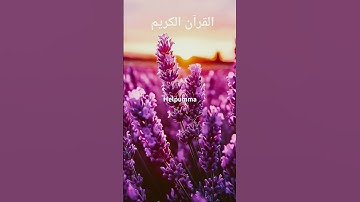 سوره نحل آیات 67-74 # اردو #قرآن #ترجمه