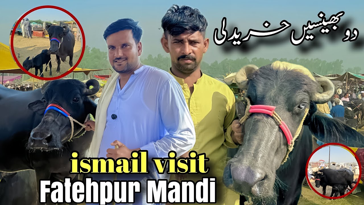 Ismail jutt Visit Fatehpur Mandi