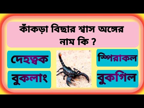 ভিডিও: সপিরাকল মানে কি?