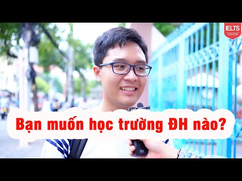Video Phỏng vấn 