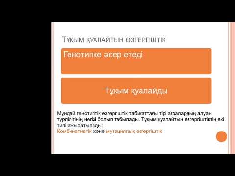 Бейне: Митохондриялық және ядролық ДНҚ арасындағы айырмашылықтар қандай?