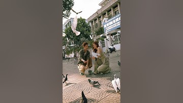 Sốt Phòng Vé Tết 2023: Bí Mật Tình Cảm của Phương Anh Đào và Tuấn Trần Trên và Ngoài Màn Ảnh | Mai