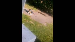 Smokeing crack. In back yeard 127 south ave Wealth