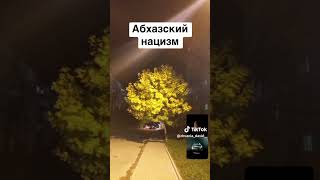 Абхазский нацизм