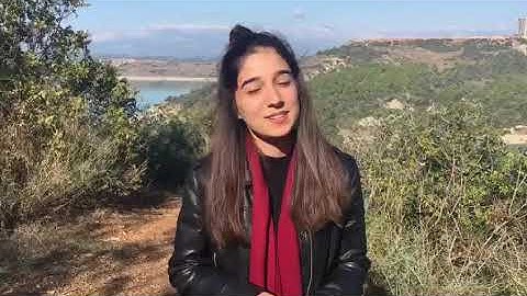 Work and Travel Program - InterExchange Video