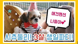 [시츄둘리] 3살 생일기념 애견펜션 나들이💕 - 강아지생일, 생일파티, 경기도펜션, 연천펜션, 위드독펜션 | 슬슬이의 vlog🐶
