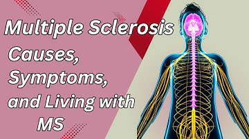 Understanding Multiple Sclerosis  Causes, symptoms and living with MS