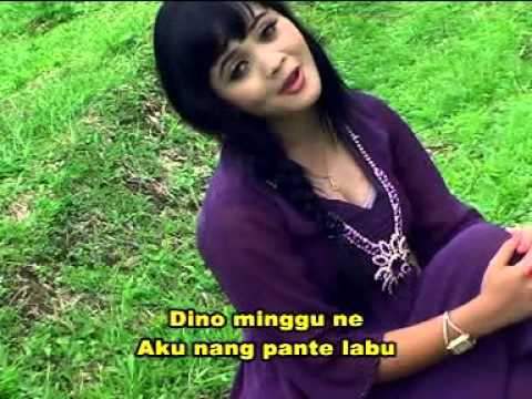 Agen Lembu Novia Arma