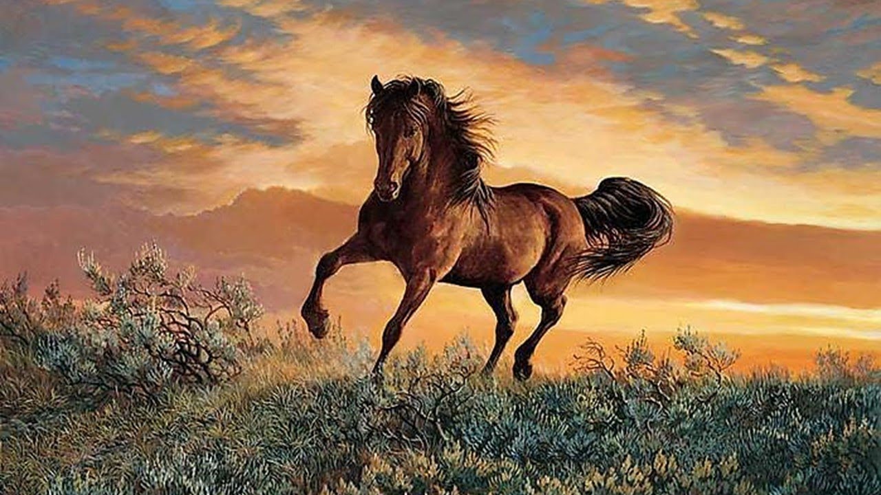 Galloping horses YouTube