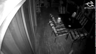 Orbs motion detection