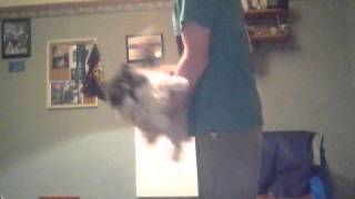 Capture 20131015 6