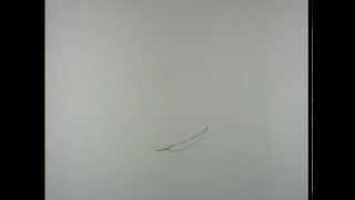 Falling Objects: A leaf/feather and a.... o_o