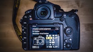 Nikon D850 Menu Settings for Wildlife Photography | Nikon setup tips