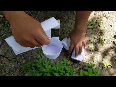 Toxum əkmək üçün ən gözəl üsul. / How to make paper cup for seed