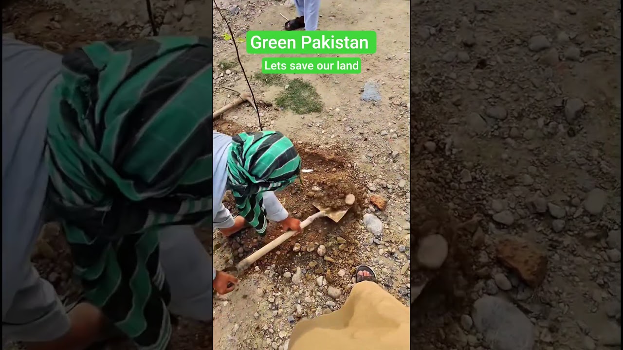 on every subscribe I would plant a tree 