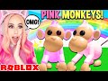 How I Found A PINK MONKEY In Adopt Me... Roblox Adopt Me Circus Update