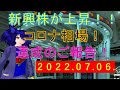 第36回 ガリクソン通信 2022/07/06