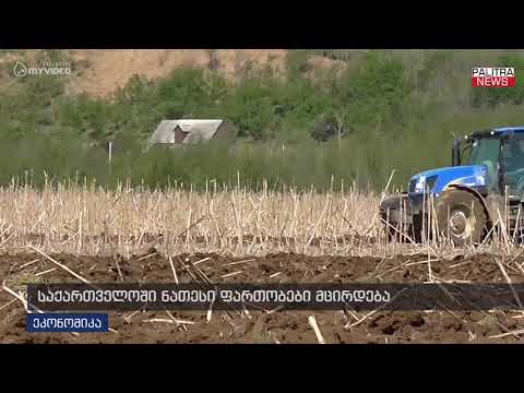 საქართველოში ნათესი ფართობები მცირდება