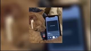 Download lagu Shiloh Dynasty - Playlist - Speed up