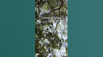 من أذكار الصباح، سبحان الله وبحمده..