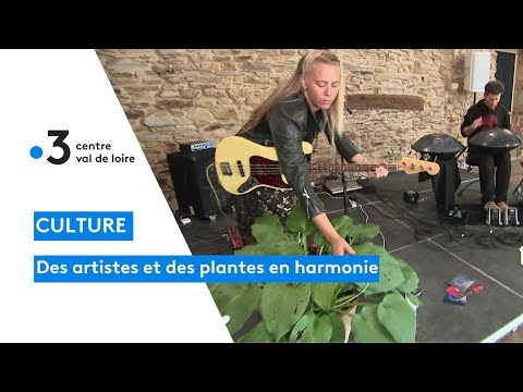 Saint-Benoît-du-Sault : la musique à base de plantes vertes, une idée originale