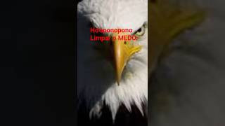Hooponopono  Clearing Fear   On The Channel canalmeuhooponopono fear selfhealing