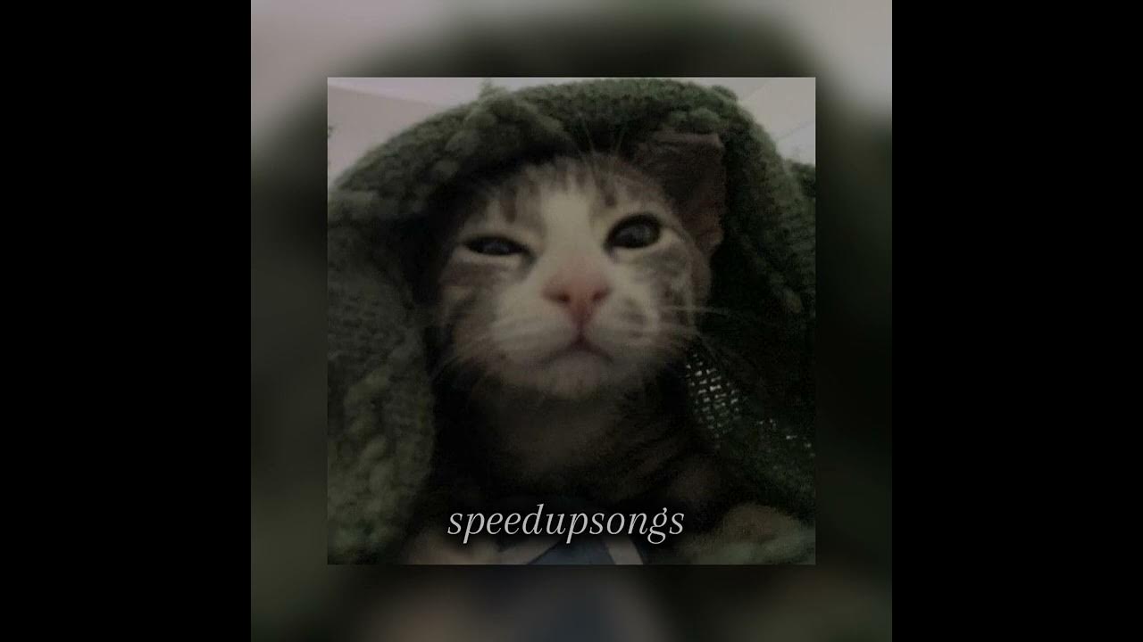 Angus and Julia Stone - Big Jet Plane (speed up) Angus and Julia Stone - Big Jet Plane (speed up)