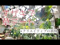 オザキフラワーパークでクリエイティブな草デート！【オザキ草編】