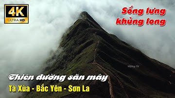 Thiên đường săn mây - Sống lưng khủng long Tà Xùa Bắc Yên Sơn La