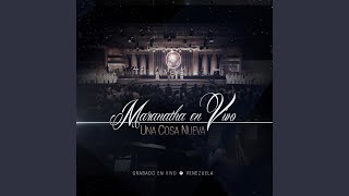 Video thumbnail of "Maranatha - Rey de Gloria (En Vivo)"