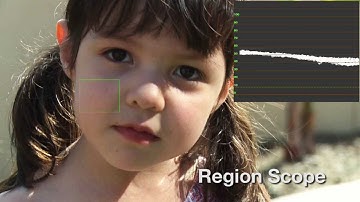Video Essentials VII Overview