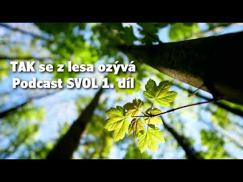Podcast SVOL -