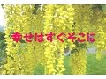 幸せはすぐそこに(天童よしみ)(Tendo Yoshimi, Japanese Enka song)/渡 健