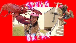 Lobster from Xpogos Spring Break