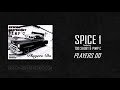 Spice 1 Ft Too Short Pimp C Doing What The Playas Do Audio 2019 mp3