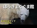 裏側探検Live8(ほっきょくぐま館)