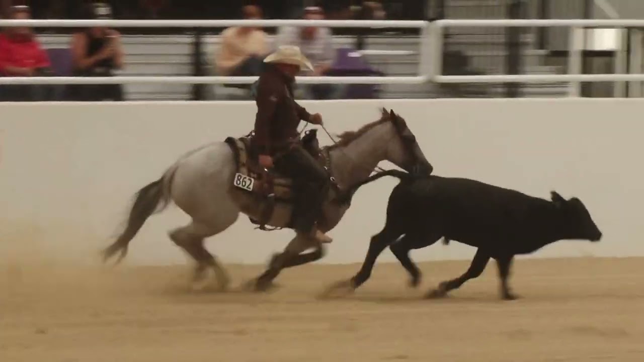 2024 Ranch Horse World Show Top Ranch Hand Fence Work Jed Lawrence on Blu Boon Shining