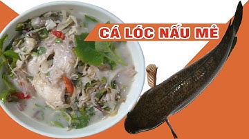 Cá Lóc nấu mẻ - Món Ngon Mỗi Ngày | Banana family happy #16