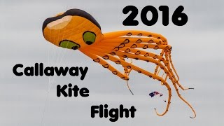 Callaway Kite Flight 2016