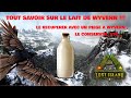 Tout savoir sur le lait de wyvern  comment le recuperer le conserver etc