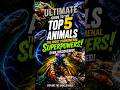These Animals Have Real Superpowers 👀#animals #superpowers#facts #ocean