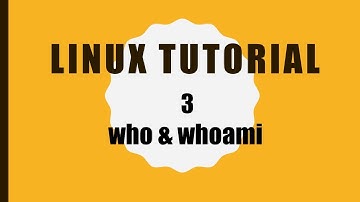 How to use who & whoami command in Linux