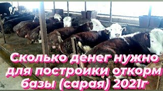 ПАРАМЕТРЫ ОТКОРМ БАЗЫ и СКОЛЬКО НЕОБХОДИМО ДЕНЕГ.