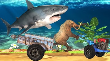 Bé học tên các loài cá với chú voi con - Bé học Các Loài Cá Nước Ngọt và Nước Mặn Hay Nhất