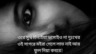 ওরে সুখ সিনাইয়া ভাষাইওনা দুঃখের ওই সাগরে মইরা গেলে লাভ নাই আর ফুল দিয়া কবরে 🙂🌺